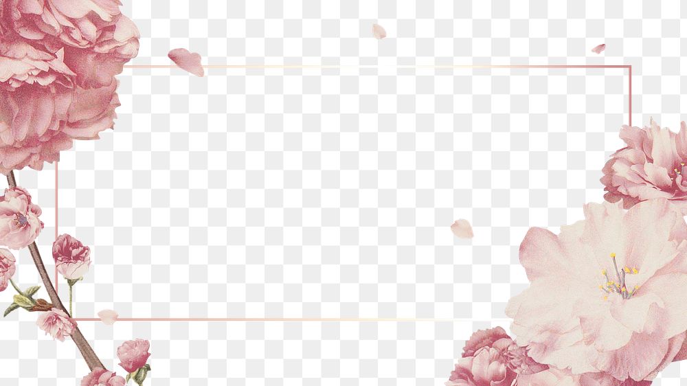 Rectangular pink cherry blossom flower bouquet border frame on transparent background