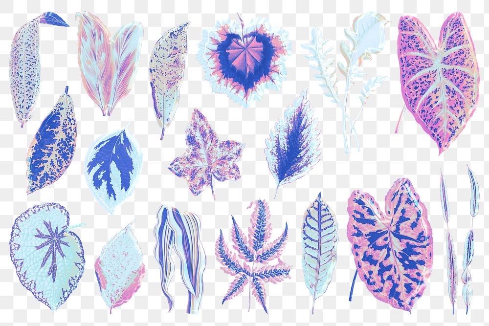 Blue leaf png sticker, aesthetic nature illustration on transparent background set