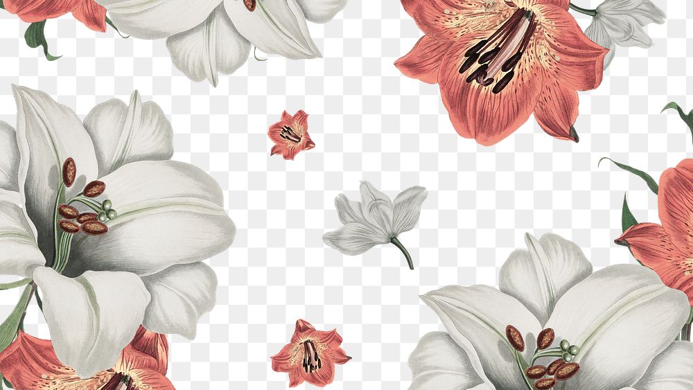 Vintage white and orange lily flower pattern background design resource