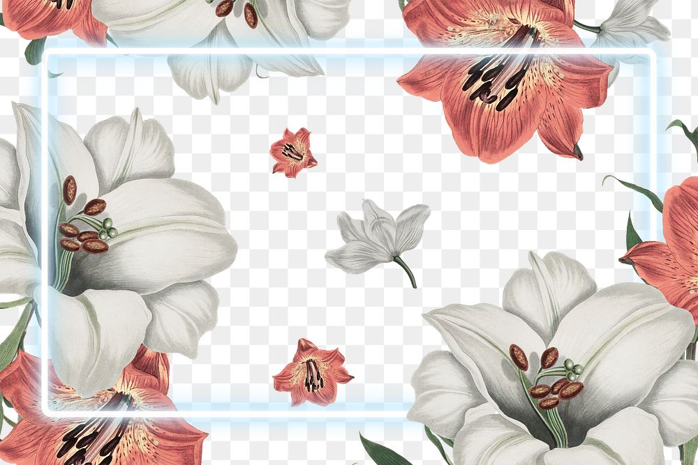 White neon frame on vintage white and orange lily flowers frame design element