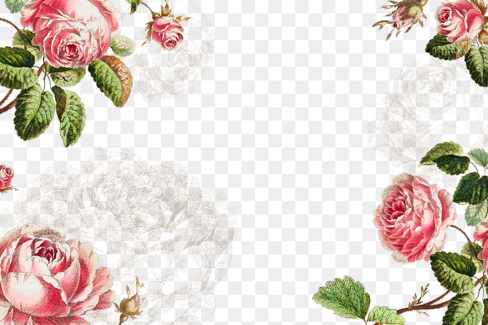 Vintage pink rose flower frame design element