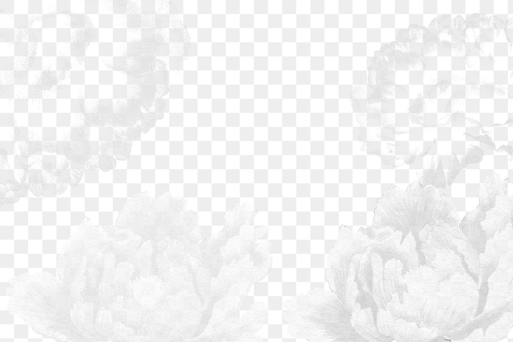 Peony png border, white color on transparent background