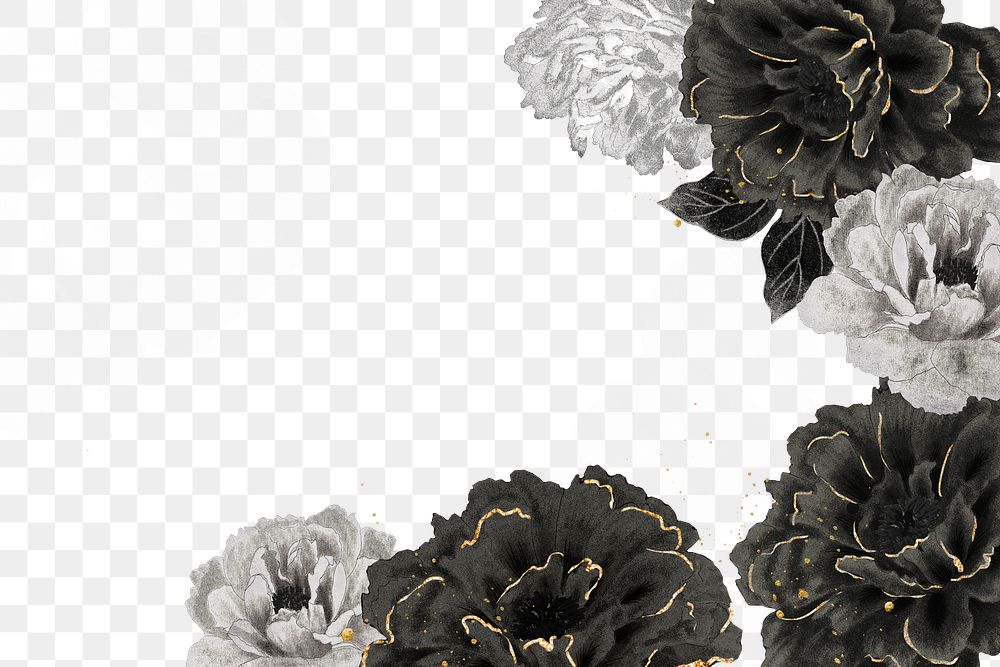 Peony png border, black, white, and gold color on transparent background