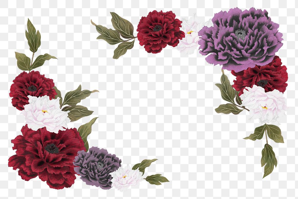 Colorful peony png frame, flower collage element on transparent background