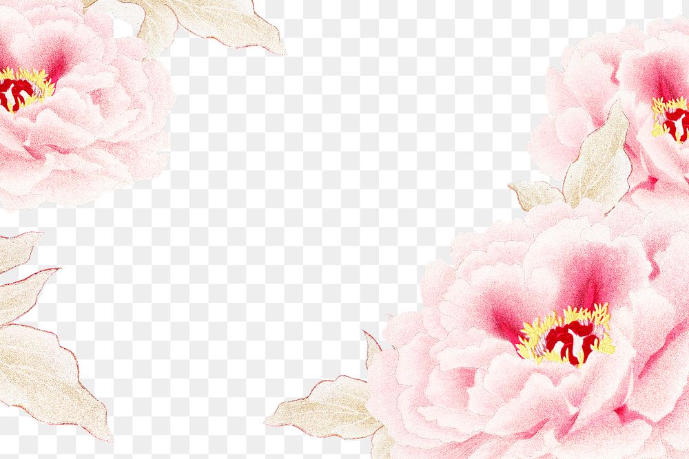 Pink peony png frame, flower collage element on transparent background