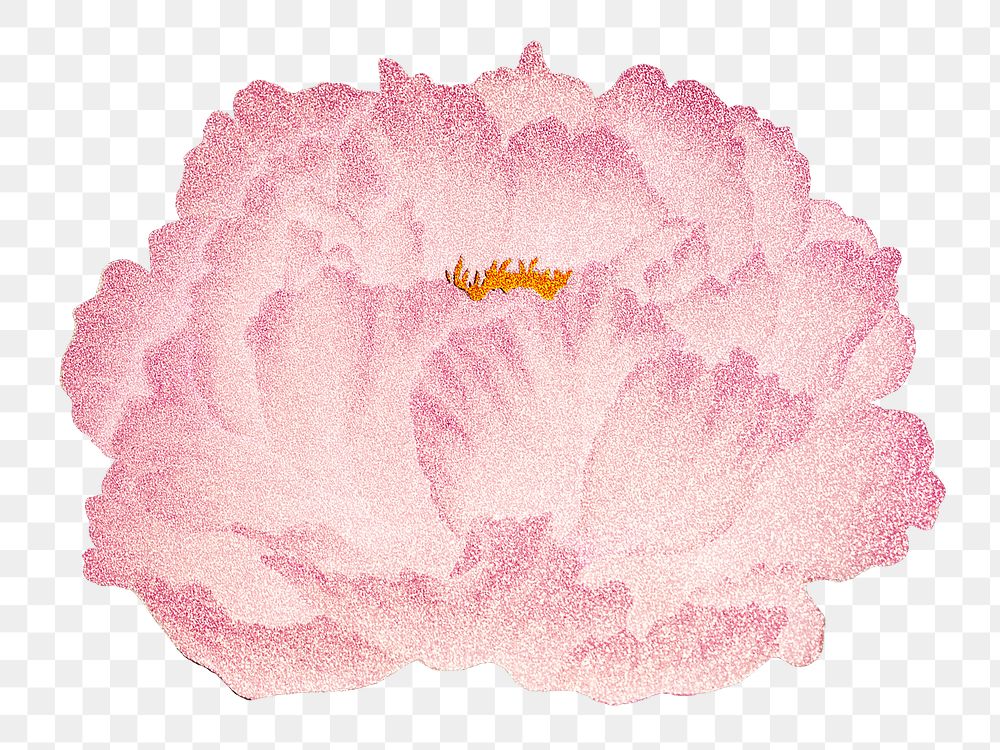 Pink peony png sticker, botanical flower design element on transparent background