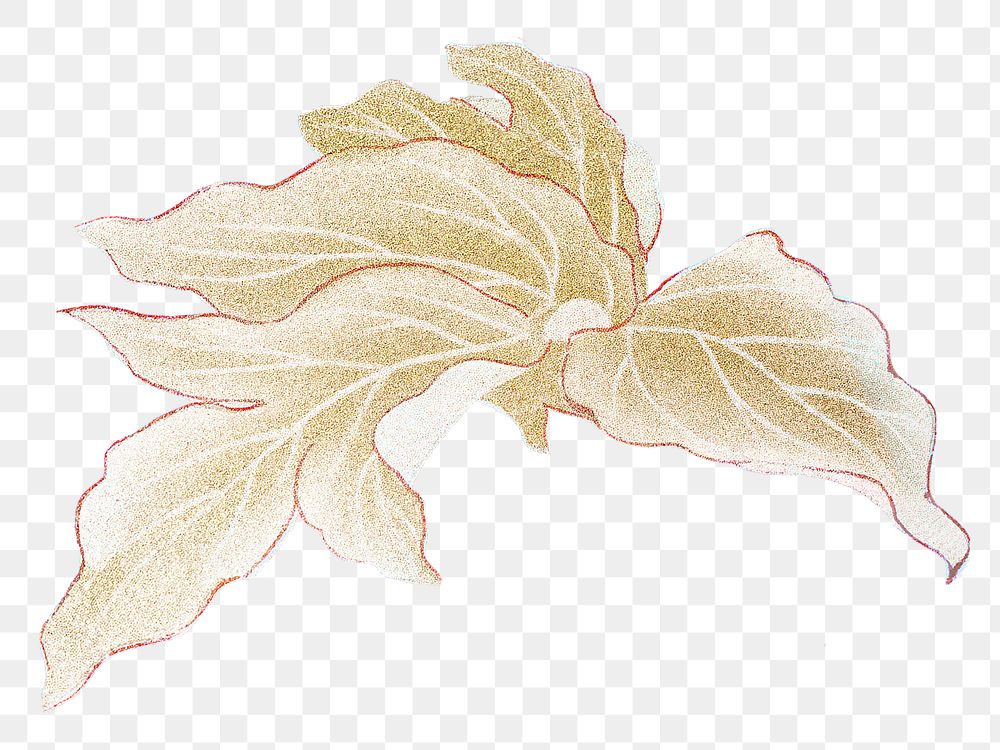 Gold leaf png sticker, floral & botanical style on transparent background