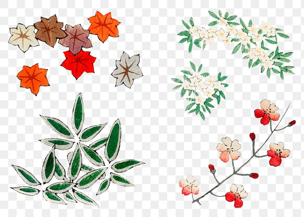 Japanese floral ornamental element png set, remix of artwork by Watanabe Seitei