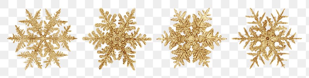 Gold snowflake png set Christmas ornament macro photography, remix of photography by Wilson Bentley