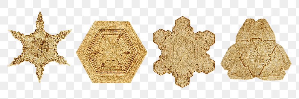 New year gold snowflake png set macro photography Christmas ornament, remix of photography by Wilson Bentley