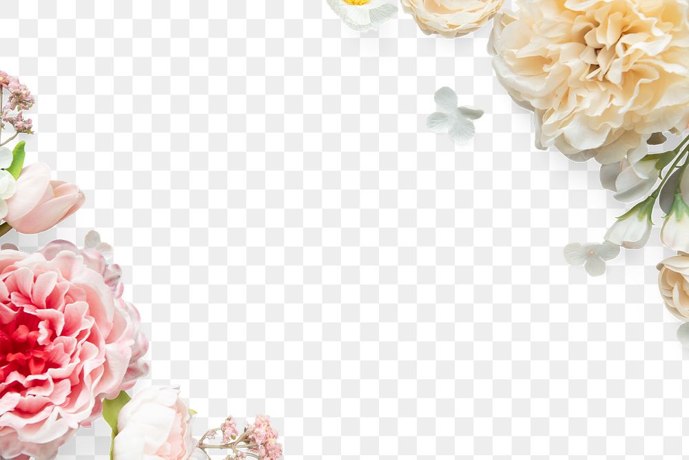 Carnation flowers frame design element 