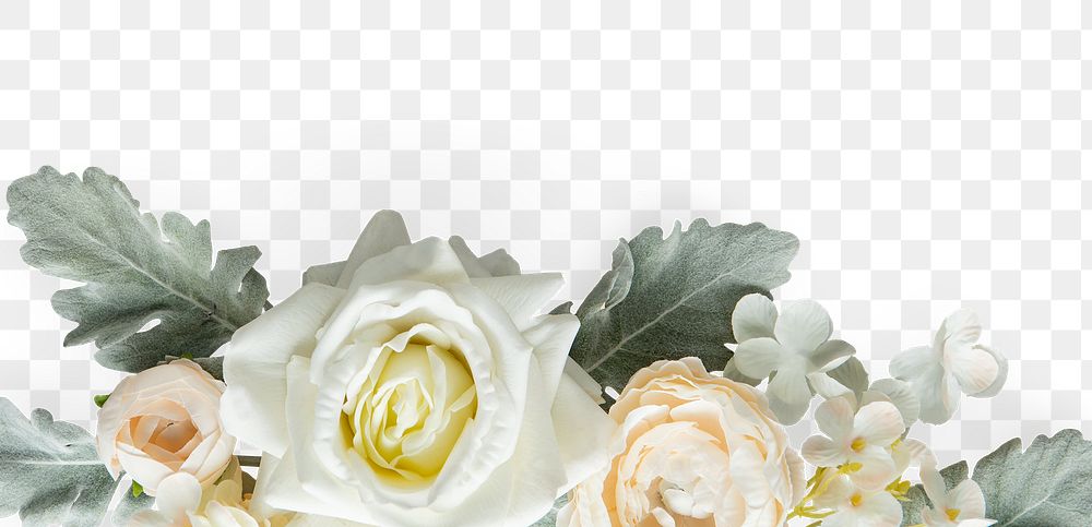 White rose flowers design element 