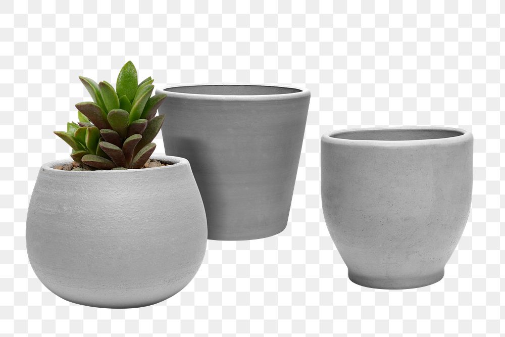 Set of pots png mockup with a succulent