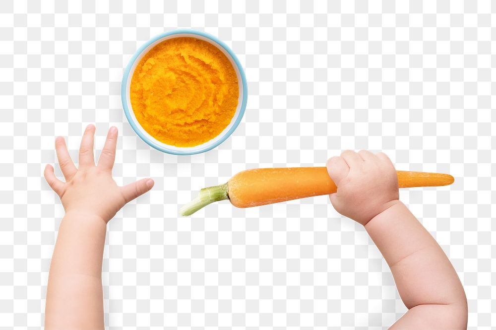 Baby hands png cut out, holding a carrot