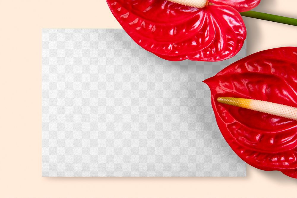 Card png mockup transparent, laceleaf flowers flat lay design