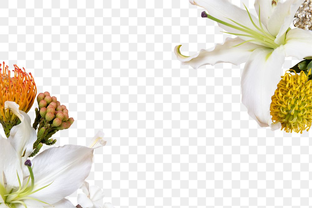 White flower frame png, transparent background