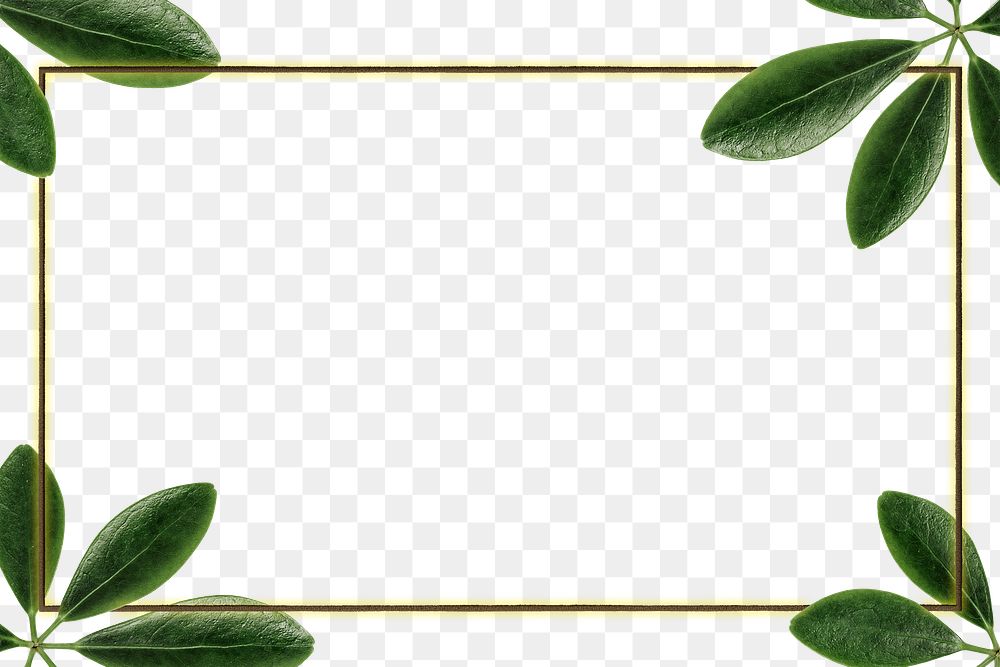 Green leaves with rectangle frame design element