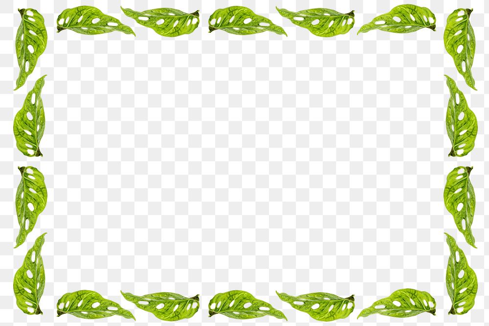 Green leaves wirectangle frame design element