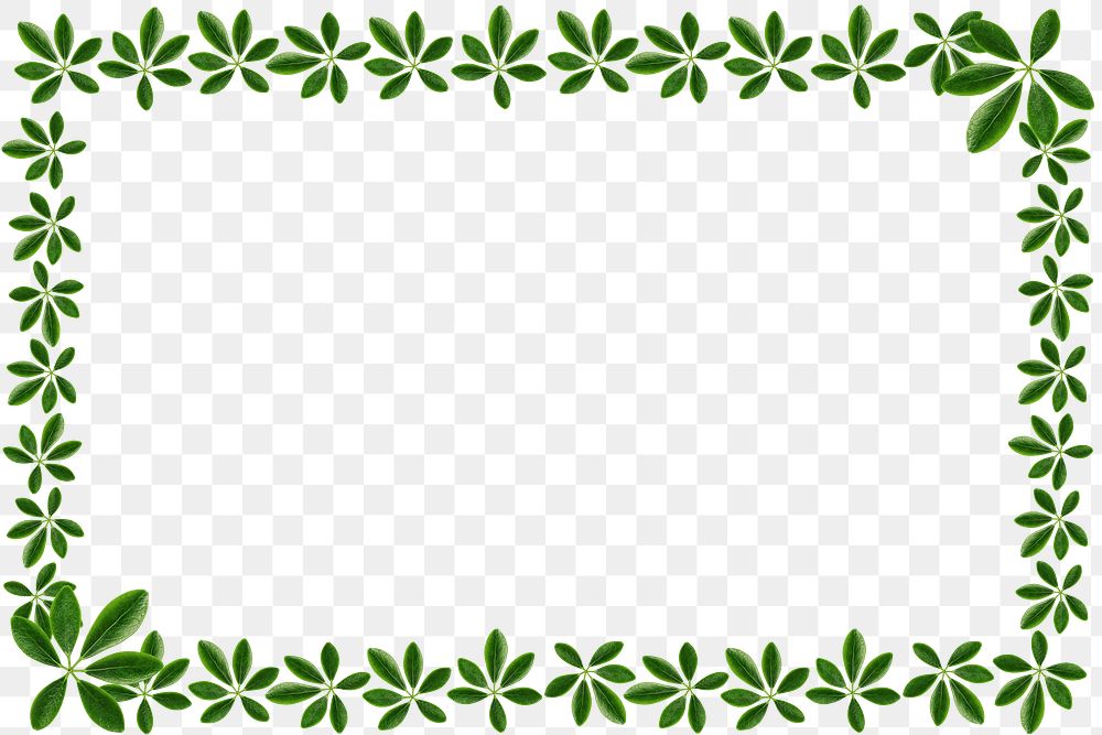 Green leaves rectangle frame design element