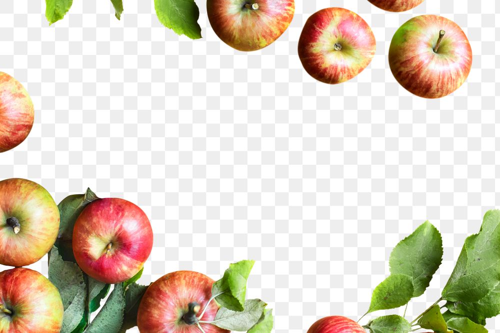 Red apples and leaves transparent png border frame