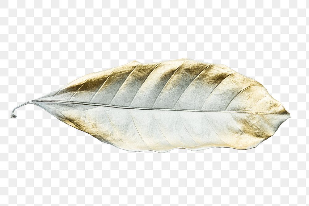 Leaf painted in gold and white design element