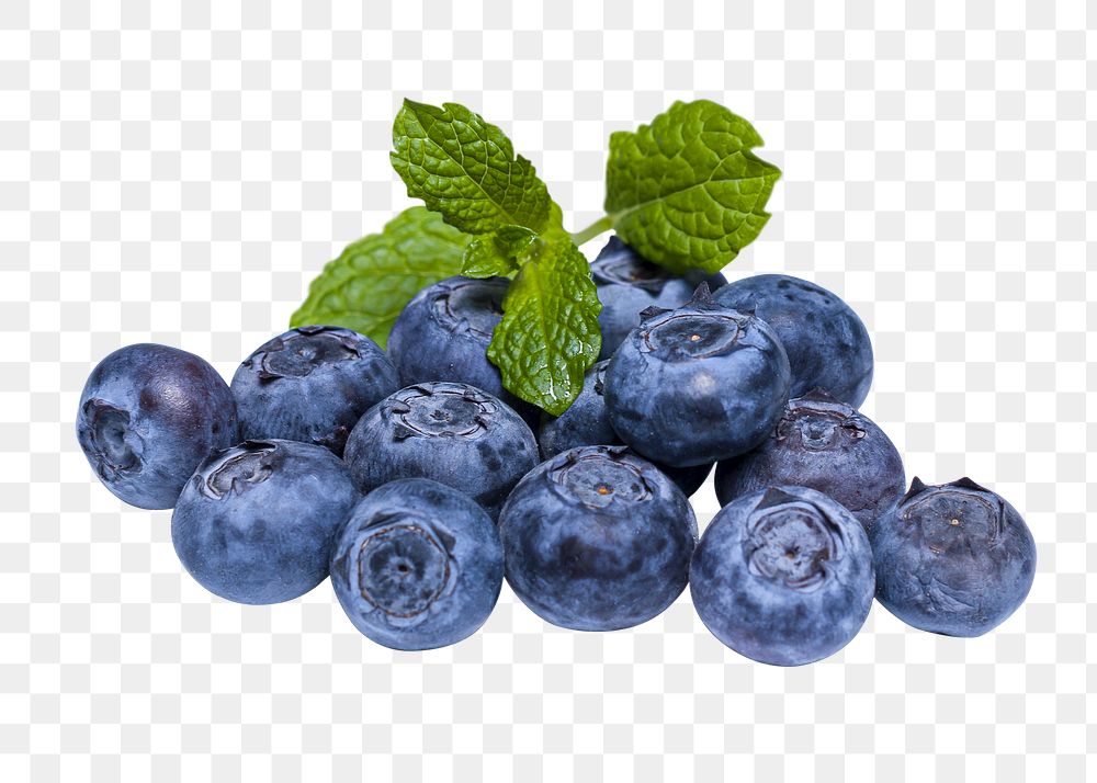 Blueberry fruit png clipart, healthy food on transparent background