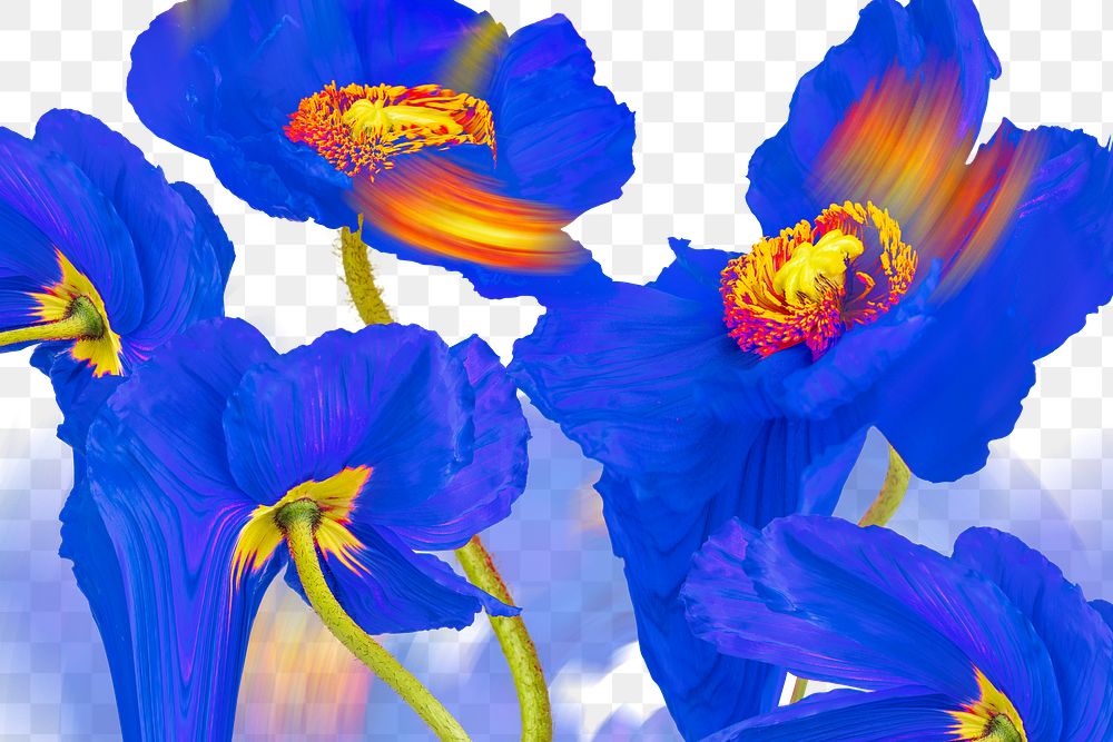 Floral background PNG, blue flower trippy abstract design