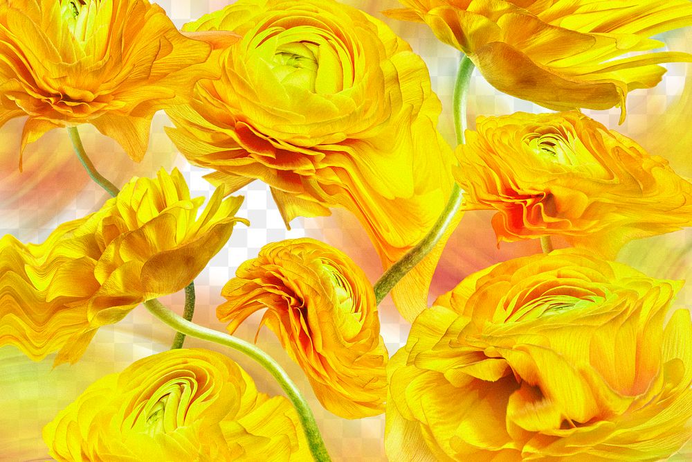 Floral background PNG, yellow flower trippy abstract design
