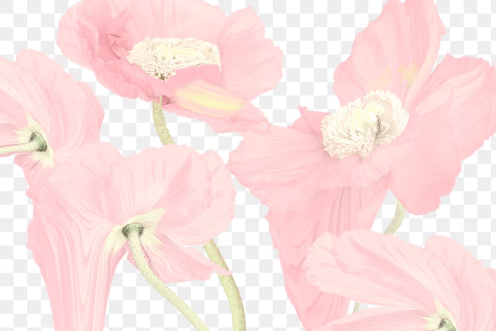 Floral background PNG, pink flower trippy abstract design