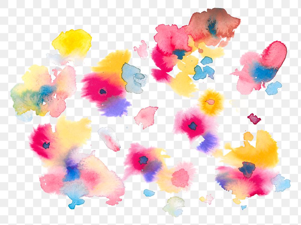 Colorful png flowers watercolor spring seasonal graphic