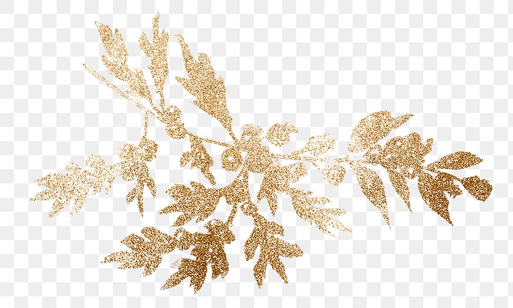 Gold png winter redberry plant shiny graphic