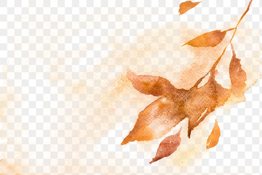 Autumn png floral watercolor background in pastel orange with leaf illustration