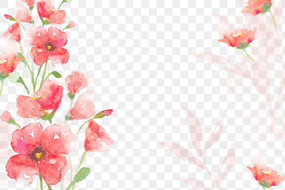 Watercolor png rose border background in pink floral spring season