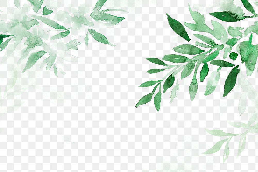 Spring png floral border background in green with leaf watercolor illustration