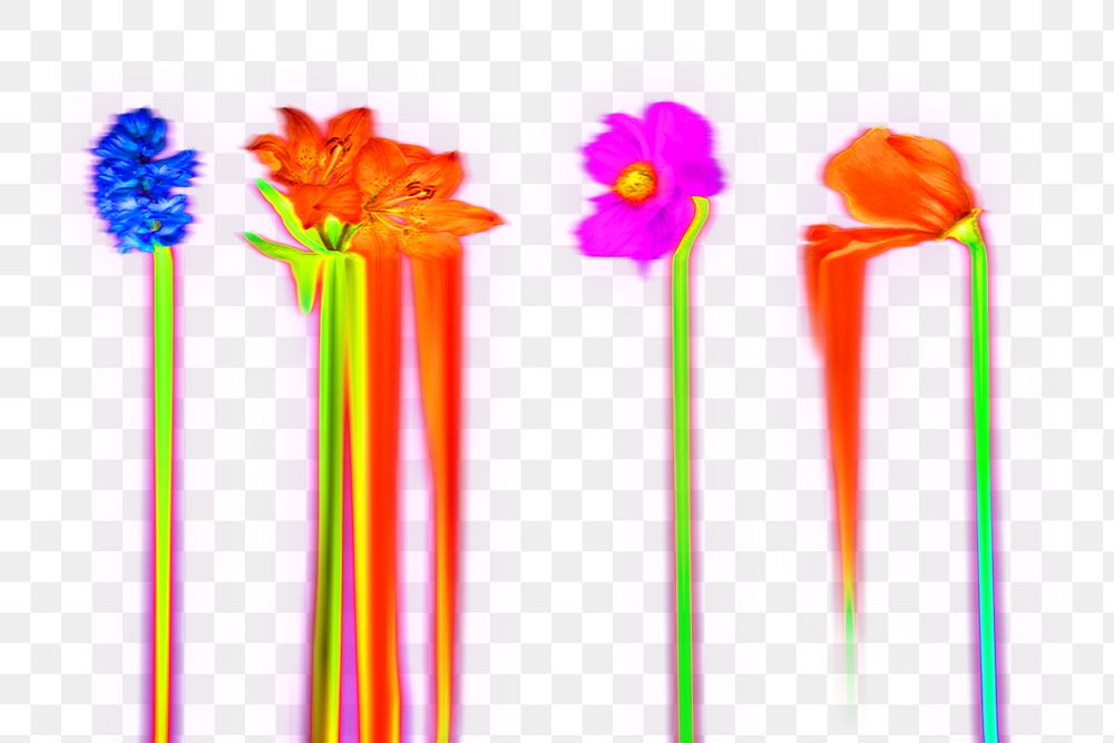 Holographic liquid flower png 