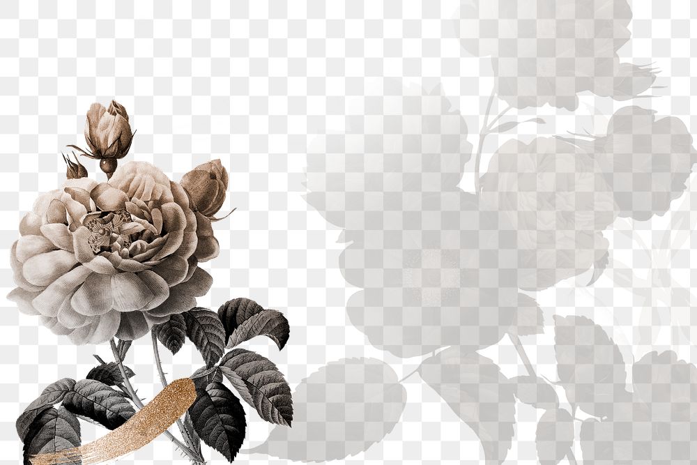 Flower background png, wedding border, remixed from vintage public domain images