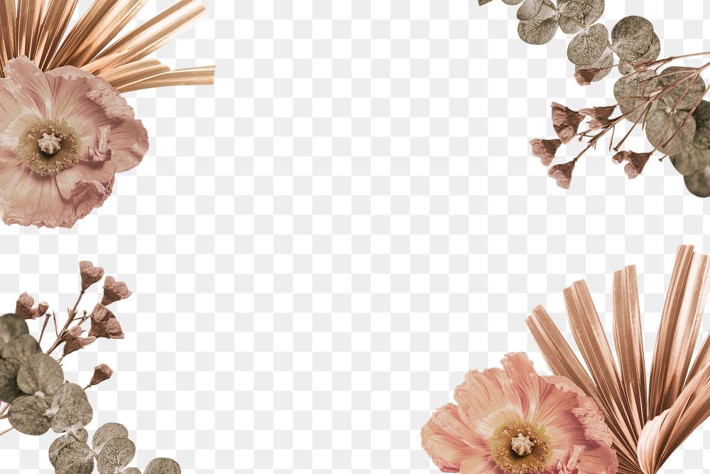 Png flower frame cut out, transparent background