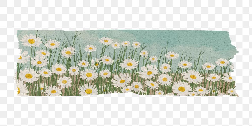 Daisy washi tape png sticker, flower aesthetic collage element