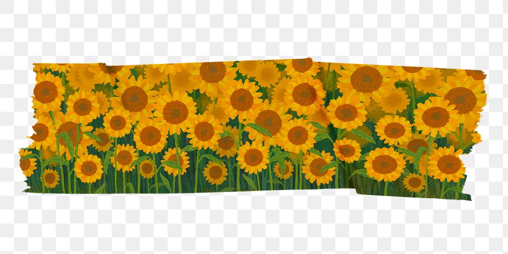 Sunflower washi tape png sticker, flower aesthetic collage element