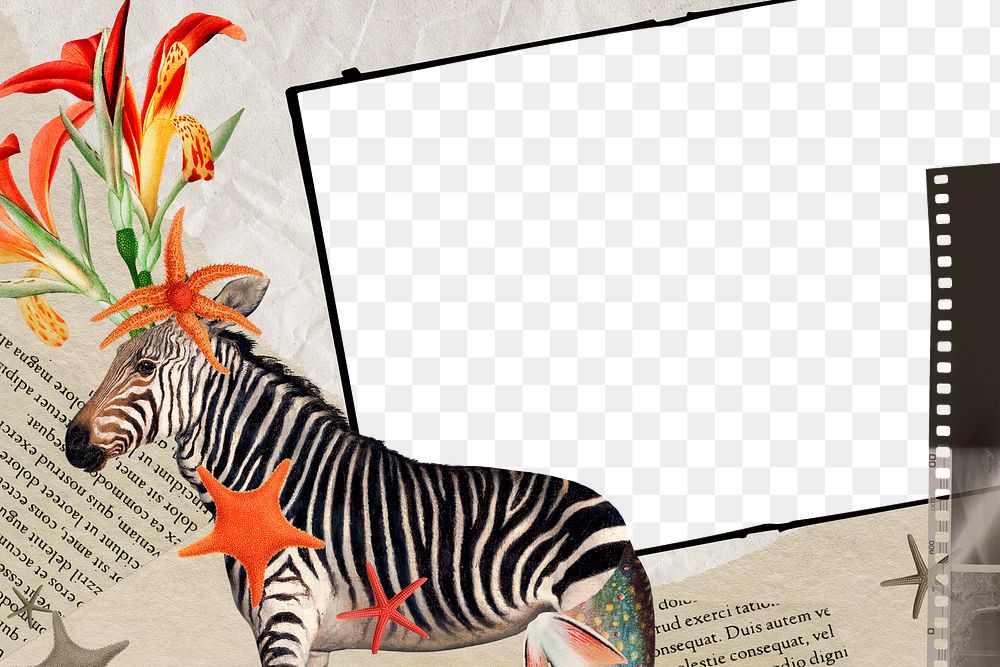 Zebra png transparent note in frame, surreal hybrid animal scrapbook illustration