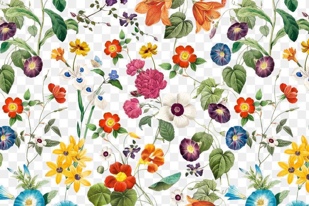 Colorful flower png pattern clipart, transparent background, remixed from original artworks by Pierre Joseph Redouté