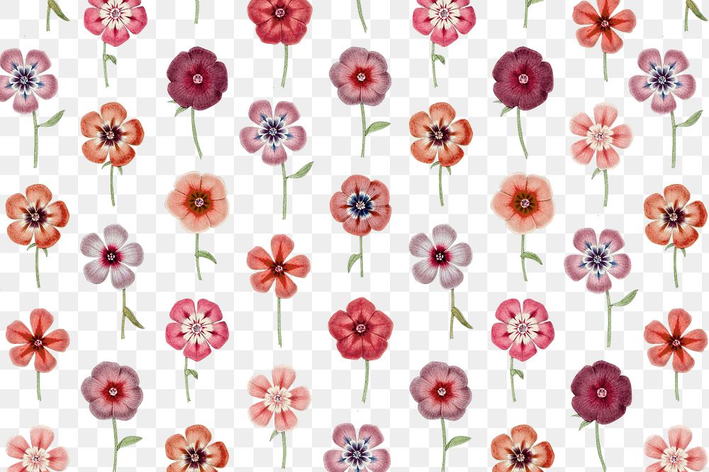 Flower png pattern sticker, transparent background, remixed from original artworks by Pierre Joseph Redout&eacute;