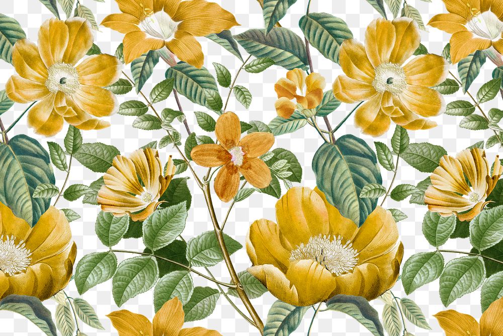 Yellow floral png pattern clipart, transparent background, remixed from original artworks by Pierre Joseph Redout&eacute;