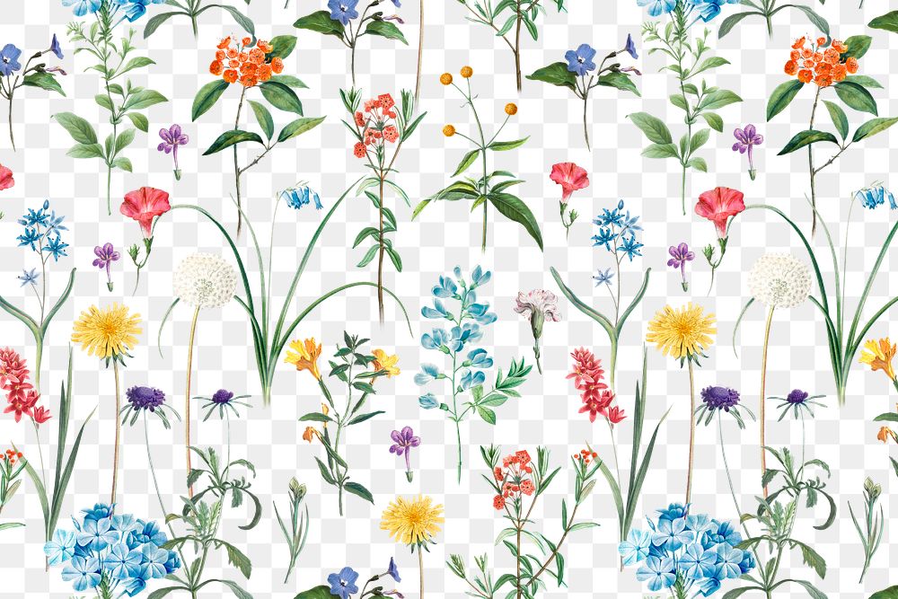 Vintage floral png pattern sticker, transparent background, remixed from original artworks by Pierre Joseph Redout&eacute;