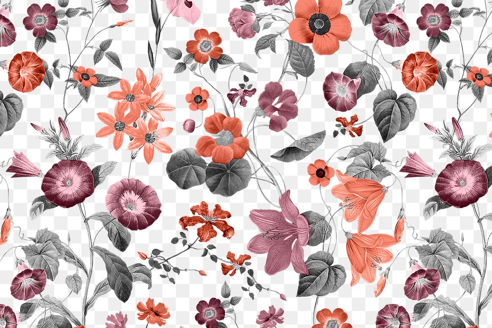 Retro flower png pattern clipart, transparent background, remixed from original artworks by Pierre Joseph Redouté