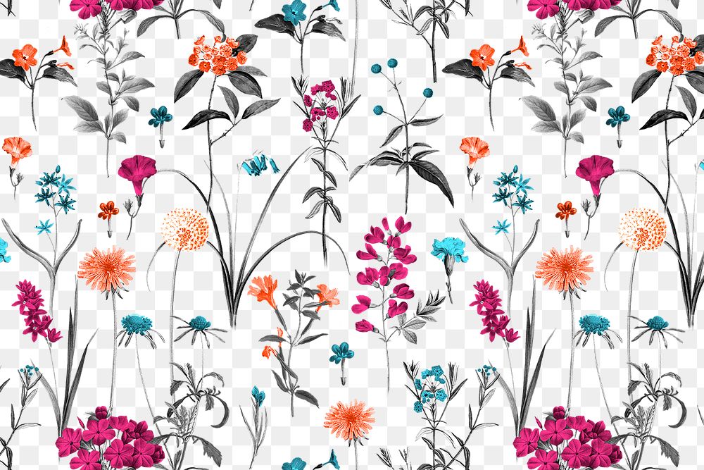 Colorful flower png pattern clipart, transparent background, remixed from original artworks by Pierre Joseph Redouté