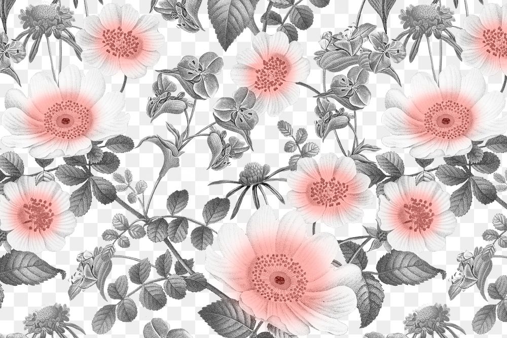 Retro flower png pattern clipart, transparent background, remixed from original artworks by Pierre Joseph Redouté