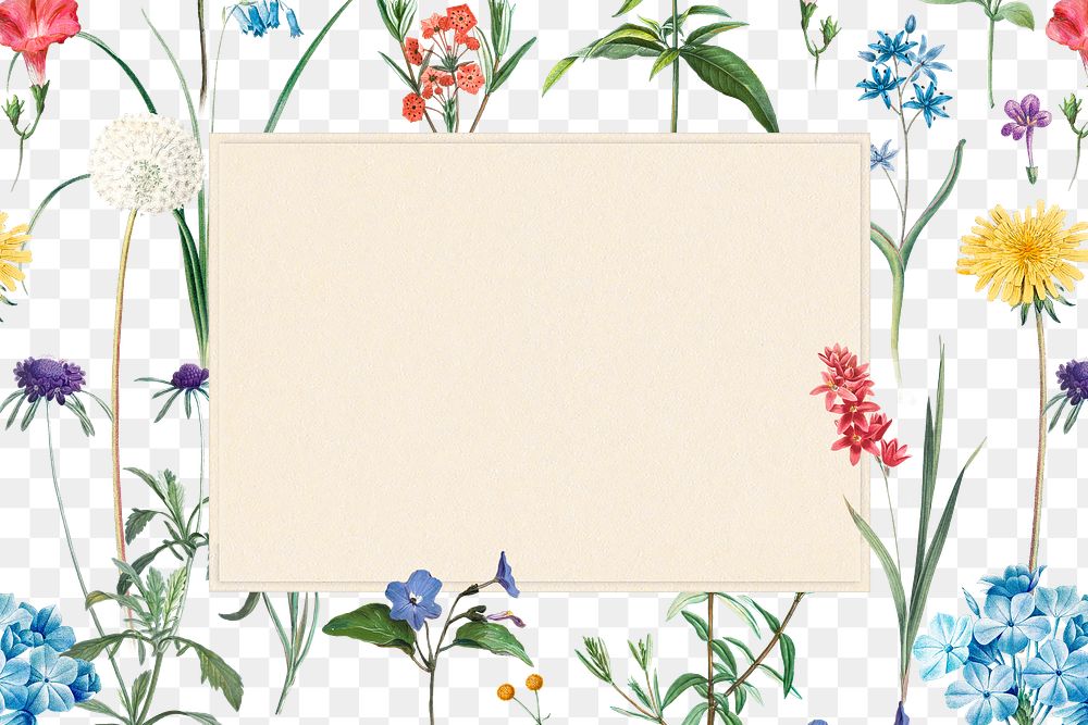 Floral png frame, transparent background, remix from the artworks of Pierre Joseph Redout&eacute;