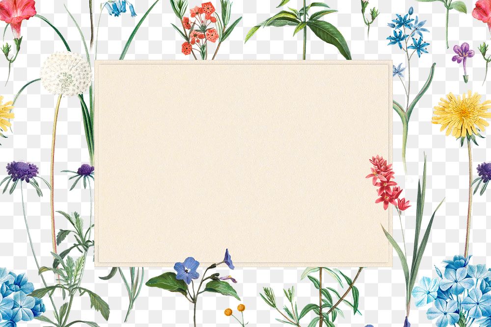 Floral png frame, transparent background, remix from the artworks of Pierre Joseph Redouté