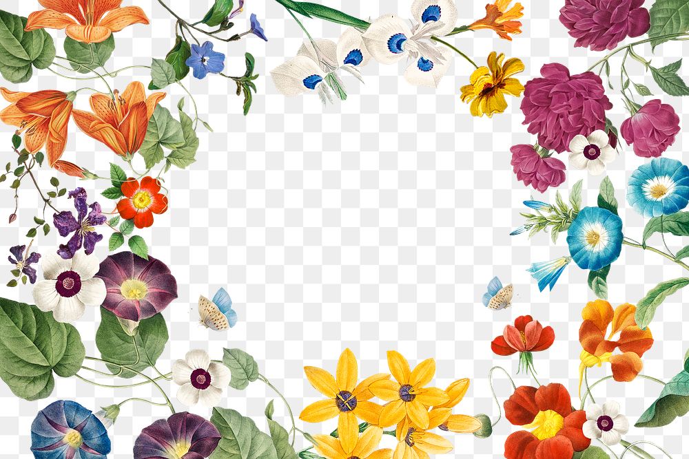 Aesthetic flower png frame, transparent background, remix from the artworks of Pierre Joseph Redout&eacute;